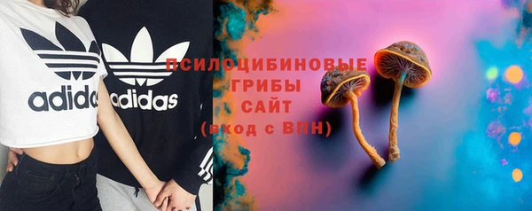 прущие крисы Богородицк